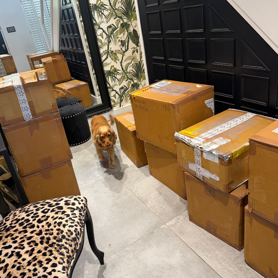 Why supporting a small business matters. Neon Army customer order packed into cartons inside the founders home. with her cocker spaniel Daisy, standing in between them.